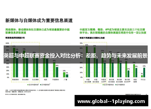 英超与中超联赛资金投入对比分析:差距、趋势与未来发展前景 英超与中超联赛资金投入对比分析:差距、趋势与未来发展前景